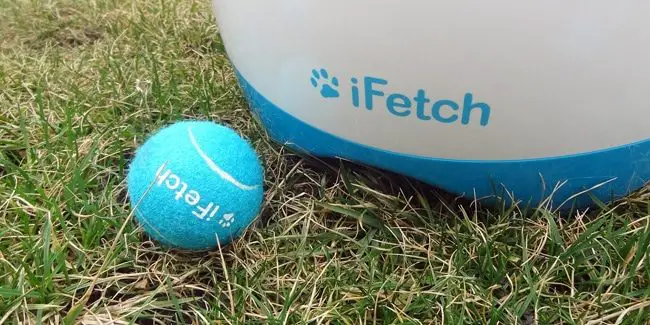 ifetch too review