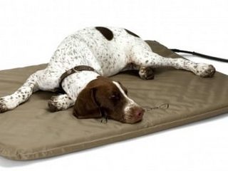 heated outdoor dog bed