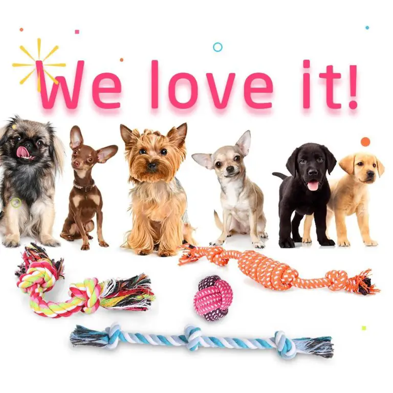 Puppy Toys For Dogs