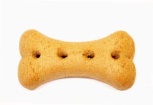 dog biscuit image