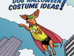 dog Halloween costume ideas