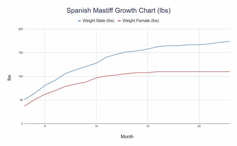 Spanish Mastiff Growth Chart lbs